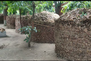 Delhi's Dilshad Garden construct compost pits to manage horticulture waste!