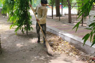 Fertilizer production started in the park of dilshad garden