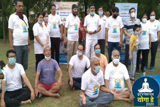 AAP leader Poonam Verma did yoga with people in Uttam Nagar at delhi