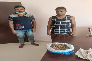 Two Cannabis smuggler arrested by Harthebari police