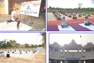 International Yoga Day