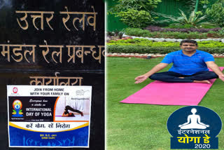 Yoga Day