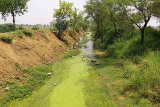 drain and canal cleaning in gohana sonipat