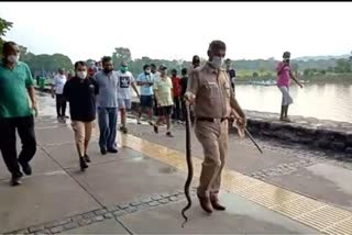 police rescued six feet tall python from near sukhna lake in chandigarh