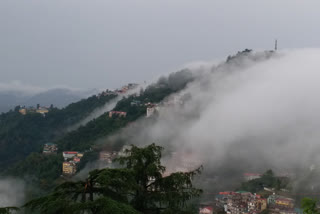 shimla