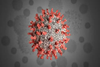 coronavirus