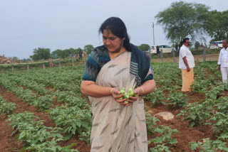 Minister Satyavathi Rathod Tour in Mahabubabad district