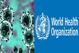 WHO reports largest single-day increase in coronavirus cases
