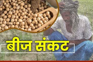 seed shortage of soyabean in Kota, कोटा न्यूज