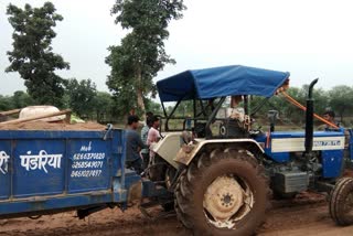 kawardha illegal sand mining