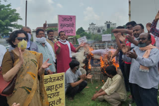 काशीपुर