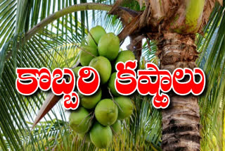 coconut farmers