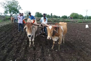 heavy rain jalna  heavy rain ambad  jalna rain news  heavy rain affect sowing  जालना पाऊस बातमी  जालना दुबार पेरणी