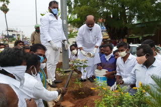 Parala MLA Challa Dharmareddy planted the town as part of a Harithaharam Programme