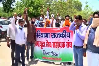 computer lap helper protest for salary in sirsa