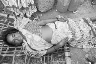 Women Farmer suide at Kukkadam Village in Suryapeta district