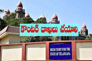 telangana high court said Lockdown down government's stance on waiver of electricity bills