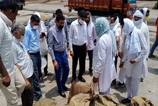 Food and Supply Department team inspection anaj mandi hisar