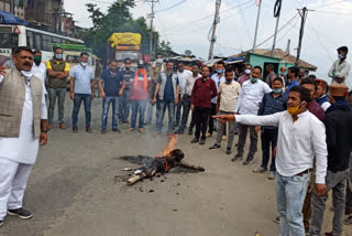 BJYM burnt effigy china president