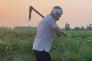 nawazuddin siddiqui working in field