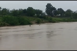 Both the children were bathing in the Godne river