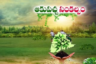 telanagana government preparing for sixth phase harithaharam