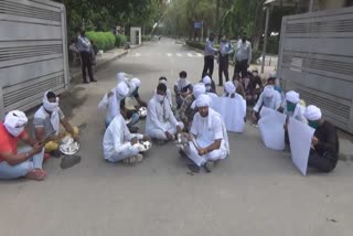 nsui protest in guru jambheshwar university in hisar