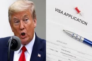 hn-white-house-on-pause-on-visas-and-american-interest