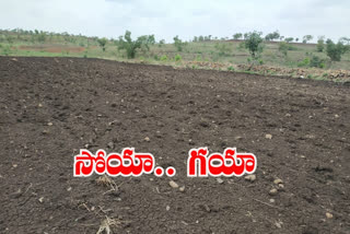 subsidized soya seeds did not sprout in sangareddy district