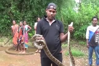 4-foot-long dragon rescued from classroom in mayurbhanj