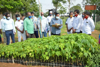 siddipet district collector visit teegul village in siddipet district