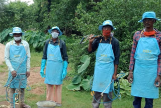 DDT spraying after rain in Janakpur