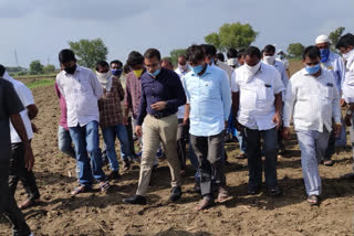 niramal collector visited soya farms in mudhol mandal