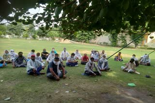 Vegetable sellers protest in jhajjar