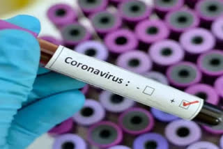 20 cases of corona virus confirmed in Bathinda