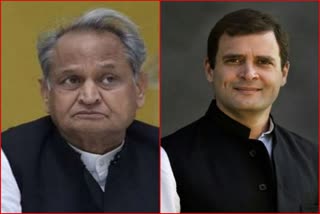 Congress working committee meeting, rahul gandhi to be national president again