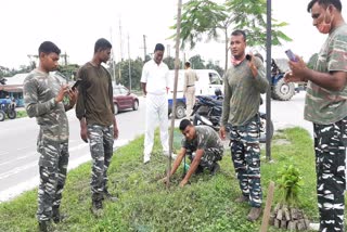 plantation by CRPF in Chirang District