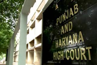 punjab haryana high court news