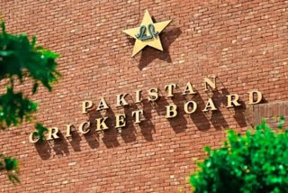 pakistan cricket board ceo wasim khan give opinion after pak cricketers tested corona positive