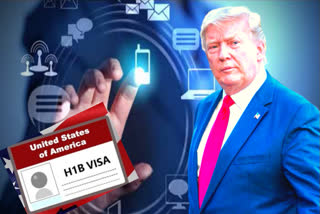 Trump move on visas to hit IT sector, not bilateral ties: Experts