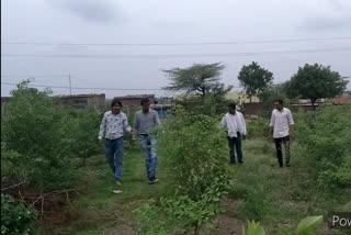 Environmentalists planted 2 thousand trees in government school of  Simlavada Village of Ratlam