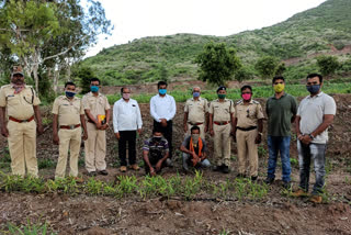 monitor lizards hunting in satara, 3 accused arrested by forest department