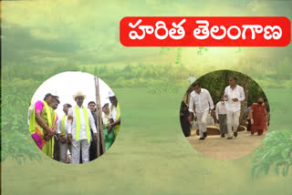 SIXTH PHASE OF HARITHAHARAM