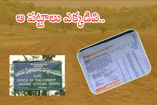 hundreds of Acres of  forest land have been Invasion in adilabad