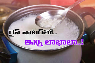 special story on uses of rice water