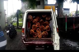 -action-against-wood-smugglers-