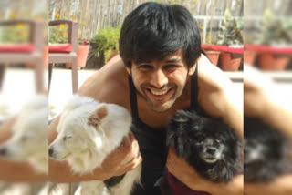 kartik aaryan pets, kartik aaryan, ETVbharat