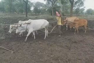 farming started in nuapada district