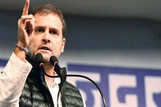 rahul gandhi