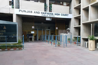 punjab and haryana high court hearing